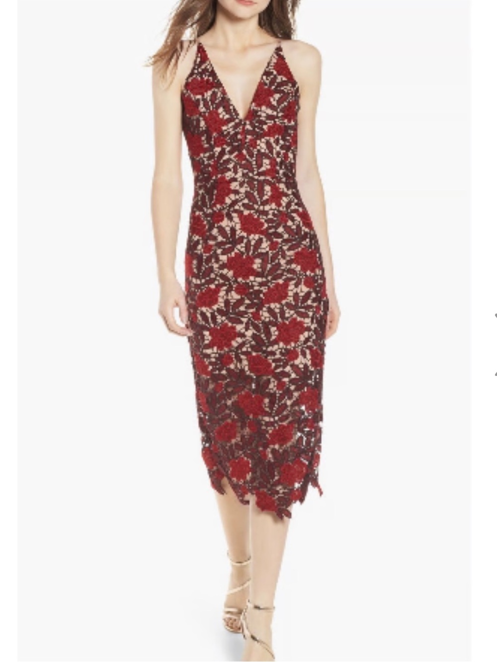 Dress the Population Aurora Embroidered Floral Lace Sheath Midi Dress Cottage